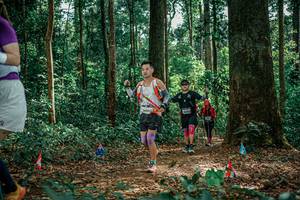 BIB: 
                            <button type="button" onclick="openModal(26135547)" class="btn btn-primary btn-sm float-right btn-popup" data-toggle="modal" data-target=".modal-high-quality">
                        <i class="fas fa-shopping-cart"></i> Add to Cart
                    </button>
                                            <button type="button" onclick="isThisMe(26135547, true)" class="btn btn-success btn-sm float-right btn-popup btn-isme hidden" data-toggle="tooltip" data-placement="bottom" title="นี่คือรูปของคุณใช่ไหม คลิกที่นี่เพื่อเอาเข้าอัลบั้ม">
                        <i class="fas fa-plus"></i> Add to album
                    </button>
                    <button type="button" onclick="isThisMe(26135547, false)" class="btn btn-warning btn-sm float-right btn-popup btn-isnotme hidden">
                        <i class="fas fa-ban"></i> Remove from album
                    </button>